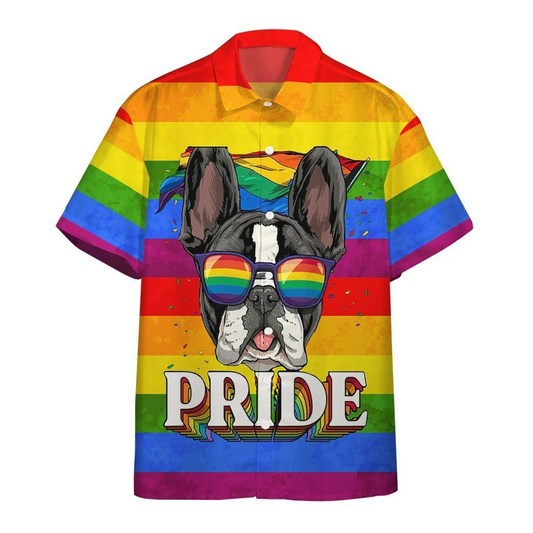 Ally Pride 3d Shirt Awesome Background Design Hawaiian Shirt, Hawaiian Pride, Full 3d Printed Shirt For Summer HO3551