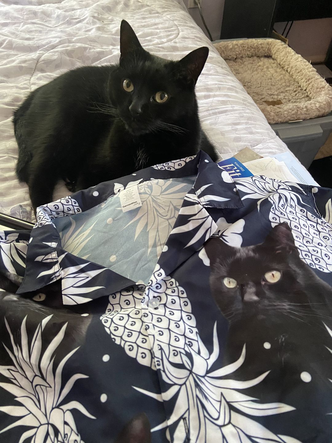 Custom Pineapple Pattern Short-Sleeve Hawaiian Shirt Dark Navy Color, Upload Photo Pet Shirt, Summer Shirt HO4375
